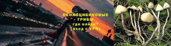 a pvp Надым