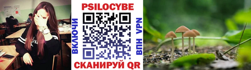 Галлюциногенные грибы Psilocybe  Севастополь 